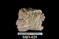 藏品(玉髓)的圖片